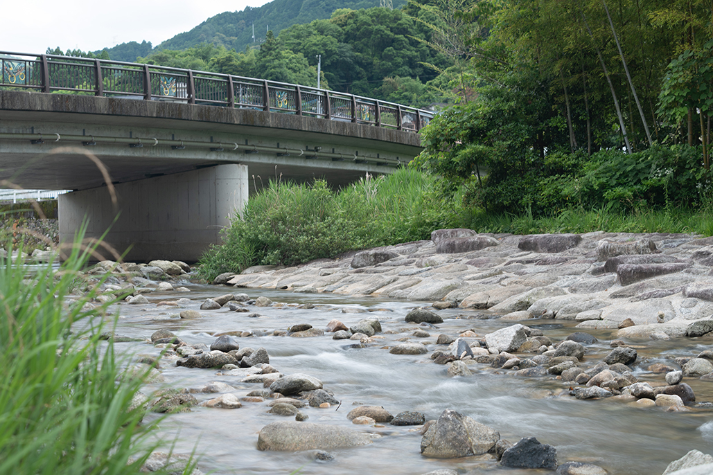 こだわって栽培された小麦粉を使用| 国産小麦100％の麺